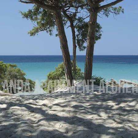Iolanda 30m From Seaside Апартаменты Альгеро